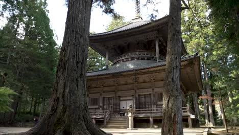 Majestätische-Westpagode-Zwischen-Zwei-Bäumen-In-Koyasan