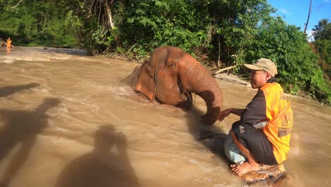Elefanten-Werden-Im-Elefantenschutzgebiet-Chiang-Mai-In-Thailand-Gebadet
