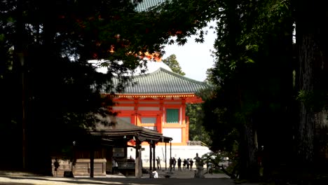 Silhouette-Of-Tree-Branches-Swaying-With-View-Of-Grand-Central-Pagoda-In-Bright-Sunshine-In-Background