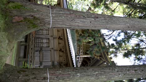 Majestic-West-Pagoda-Viewed-In-Between-Two-Trees-In-Koyasan