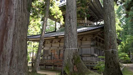 Fila-De-Cedros-Frente-A-La-Pagoda-Oeste-Kongobu-ji-Saito-En-Koyasan-En-Un-Entorno-De-Bosque-Sereno