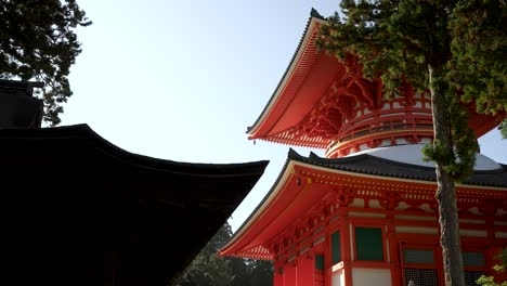 Looking-Up-At-Grand-Central-Pagoda-At-Koyasan-On-Sunny-Afternoon