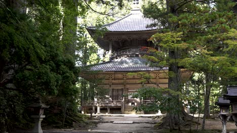 Männlicher-Tourist-Geht-In-Richtung-Der-Westpagode-Kongobu-Ji-Saito-In-Koyasan-In-Einer-Ruhigen-Waldumgebung