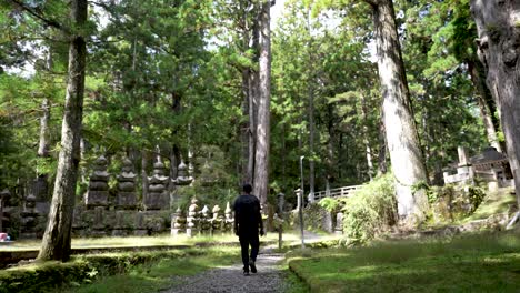 Male-tourist-walking-over-gobblestone-pathway-in-the-Okunion-forest-cemetary-in-Japan