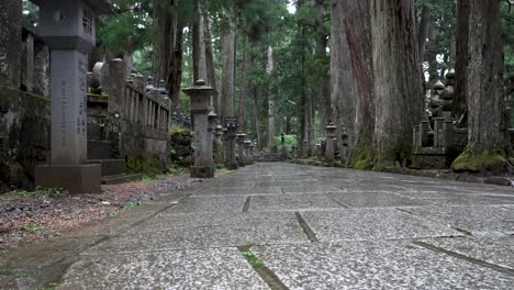 Regentropfen-Fallen-Auf-Einen-Leeren-Waldweg,-Der-Auf-Dem-Okunoin-Friedhof-Gesäumt-Ist