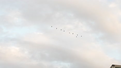 Blick-Nach-Oben-Auf-Die-Silhouette-Von-Vögeln,-Die-Gegen-Leichte-Wolken-Fliegen