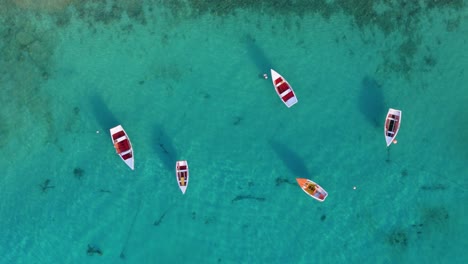 Drone-top-down-static-aerial-of-white-red-orange-fishing-boats-anchored-in-sandy-clear-water-with-beautiful-shadows-in-water