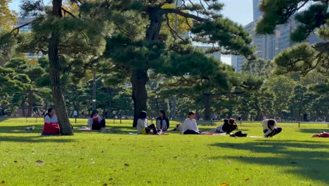 Statische-Aufnahme-Der-Menschen,-Die-Sich-Im-Kokyu-Gaine-Nationalgarten-Aufhalten