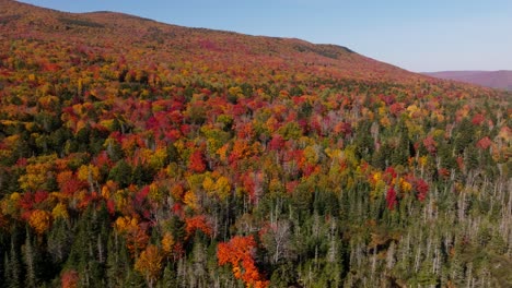 Drohnenaufnahmen-Des-Herbstlaubs-In-New-Hampshire