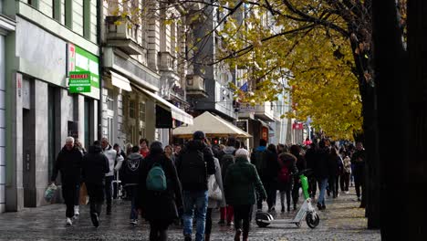 Crowd-of-people-walk-on-sidewalk-near-buildings-and-line-of-fall-trees