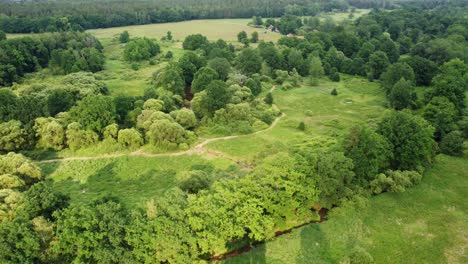 Aerial-landscape-shot-with-meandering-river-under-trees