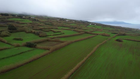 Aerial-dolly-shot-of-a-countryside-landscape-with-agricultural-fields