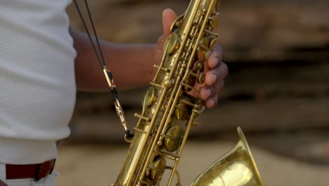 Saxofonista-En-Primera-Línea-De-Playa-Soleada.-Cerrar-Detalle