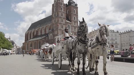 Carriage-in-Front-of-St.-Mary's-Basilica,-Krakow