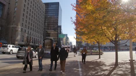 People-Walking-In-The-Sidewalk-With-Yellow-Trees-During-Autumn-In-Downtown-Vancouver,-Canada