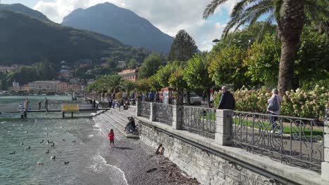 Family-Feeds-Ducks-near-the-Coast-of-Menaggio-Town-near-Lake-Como