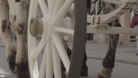 Cinematic-Close-Up:-Horse-Hooves-and-Carriage-Wheel-on-Krakow-Streets