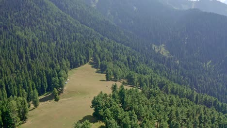 La-Cámara-Del-Dron-Va-Hacia-El-Frente,-Donde-Hay-Un-Gran-Espacio-Entre-Los-Establos-Donde-Pastan-Los-Caballos.