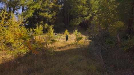 Two-Hikers-Walking-in-Nature-Forest-On-Summer-in-Italian-Alps-Region