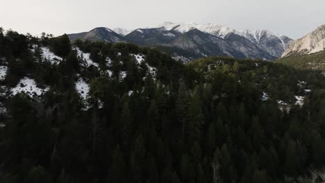 Drone-over-a-hill-with-pine-trees-to-expose-Mount-Antero-in-the-Rocky-Mountains-in-Colorado