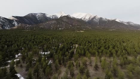 Establishing-drone-shot-approaching-Mount-Princeton-in-the-Rocky-Mountains-in-Colorado-over-pine-trees