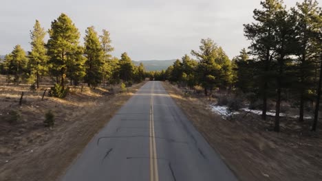 Drone-down-the-middle-of-a-empty-road-in-the-Rocky-Mountains-in-Colorado-with-pine-trees-on-both-sides