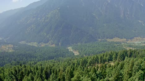 aerial-drone-view-drone-Cameron-is-walking-past-a-large-bush-where-many-mountains-are-visible