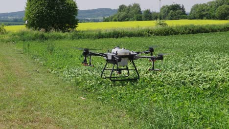 Drone-Agrícola-No-Tripulado-Con-Sistema-De-Pulverización-Aterriza-En-Tierras-De-Cultivo-Verdes