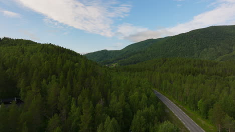 Straße-Entlang-Eines-üppigen-Grünen-Waldes-In-Den-Bergen-In-Norwegen