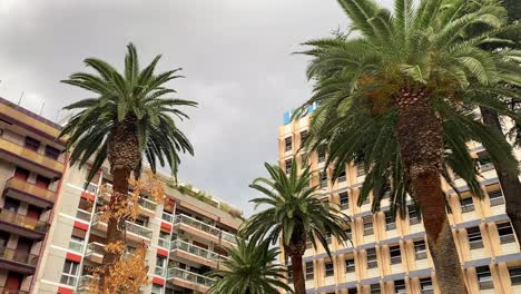 As-the-camera-moves,-a-captivating-view-unravels-in-the-picturesque-town-of-Bari,-Italy,-showcasing-palm-trees-gracefully-positioned-in-front-of-breathtaking-apartments