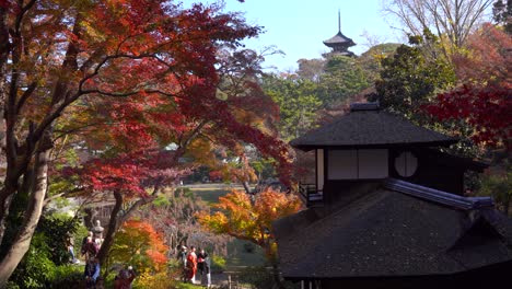 Wunderschöne-Herbstliche-Farblandschaft-In-Japan-Mit-Pagode-Und-Traditionellen-Gebäuden