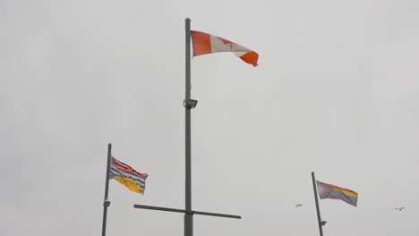 A-vibrant-collection-of-flags,-presenting-a-diverse-spectrum-that-features-the-Canadian-flag,-the-British-Columbia-flag,-and-lively-LGBTQ-flag