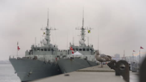 Centrando-La-Atención-En-Una-Gaviota-Posada-Sobre-Un-Banco-De-Concreto-Hacia-Un-Par-De-Barcos-Atracados-Flotando-Tranquilamente-En-El-Agua-En-El-Muelle