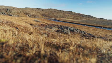 Kanadisches-Tundrafeld-Mit-Einem-Fluss,-Der-Durchfließt
