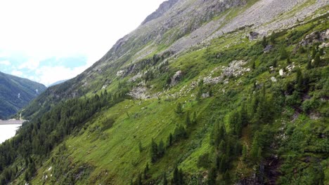 Steiler-Hang-Mit-Kiesfeldern-Und-Ein-Paar-Bäumen-In-Den-Alpen-In-Kärnten,-Österreich