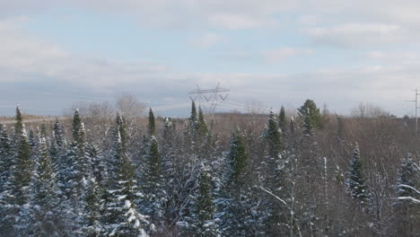 Líneas-Eléctricas-De-Invierno-Que-Se-Extienden-A-Través-De-Paisajes-Boscosos-Nevados,-Antena