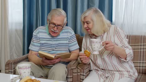 Abuelo-Sonriente-De-Pareja-Mayor,-Abuela-Descansando-En-Un-Sofá-Tomando-Café,-Leyendo-Un-Libro-En-Casa