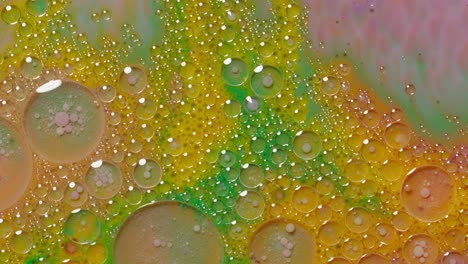 Bubbles-float-in-liquid-paint,-mixing-ink,-oil-and-milk,-abstract-multicolor-hypnotic-painting