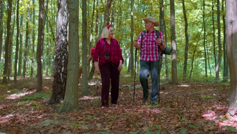 Excursionistas-Activos-Mayores-Abuela-Abuelo-Entrenando-Marcha-Nórdica-Con-Bastones-De-Trekking-En-El-Bosque