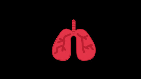 lungs-icon-concept-loop-animation-video-with-alpha-channel