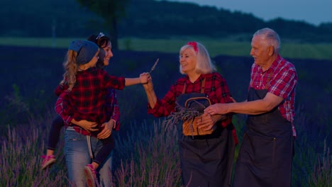 Senior-grandparents-granddaughter-farmers-growing-lavender-plant-in-garden-field,-family-business