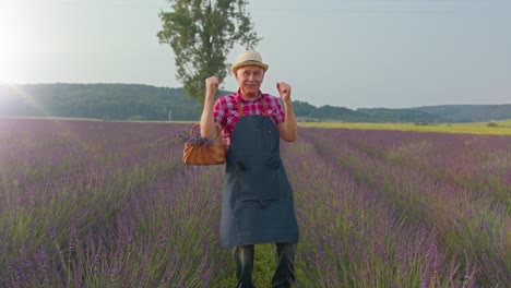 Abuelo-Granjero-Recogiendo-Flores-De-Lavanda-En-El-Campo,-Bailando,-Celebrando-El-éxito