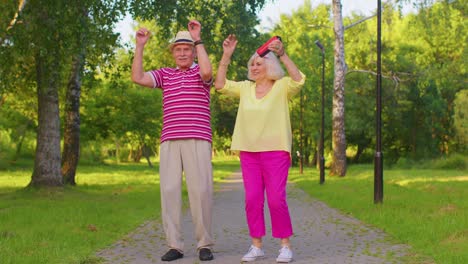 Pareja-De-Ancianos-Con-Estilo-Abuela-Abuelo-Bailando,-Escuchando-Música-En-Parlantes-Musicales-En-El-Parque