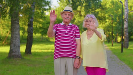 Pareja-Senior-Elegante-Abuela-Abuelo-Sonriendo-Amigable-Agitando-Las-Manos-Gesticulando-Hola,-Adiós