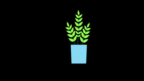 Planta-árbol-Hojas-Volando-Icono-Bucle-Animación-Vídeo-Fondo-Transparente-Con-Canal-Alfa