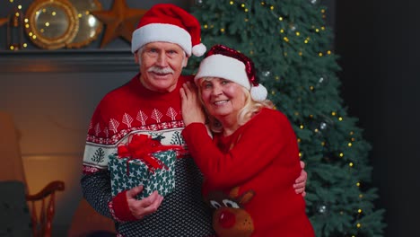 Familia-De-Una-Pareja-Mayor-Con-Sombreros-De-Papá-Noel-Celebrando-La-Navidad-Mirando-La-Cámara-Y-Abrazándose-En-Casa