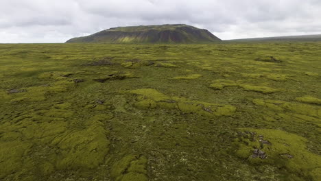 Aerial-view-of-mossy-lava-field-in-Iceland.