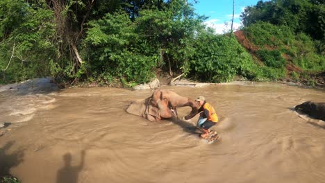 Mahouts-Betreuer-Kümmern-Sich-In-Einem-Ethischen-Schutzgebiet-In-Chiang-Mai-Um-Elefanten-Im-Fluss