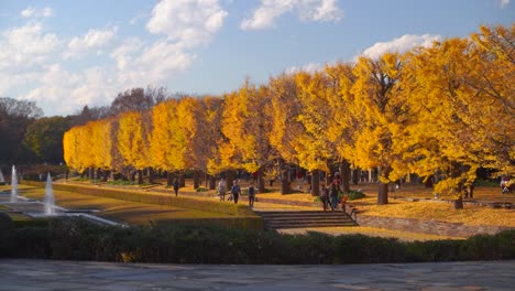 Vista-En-Cámara-Lenta-Caminando-Por-El-Parque-De-Colores-Otoñales-En-Japón