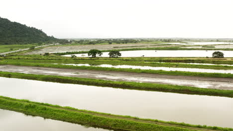 Panoramic-drone-shot-of-shrimp-farming-pools